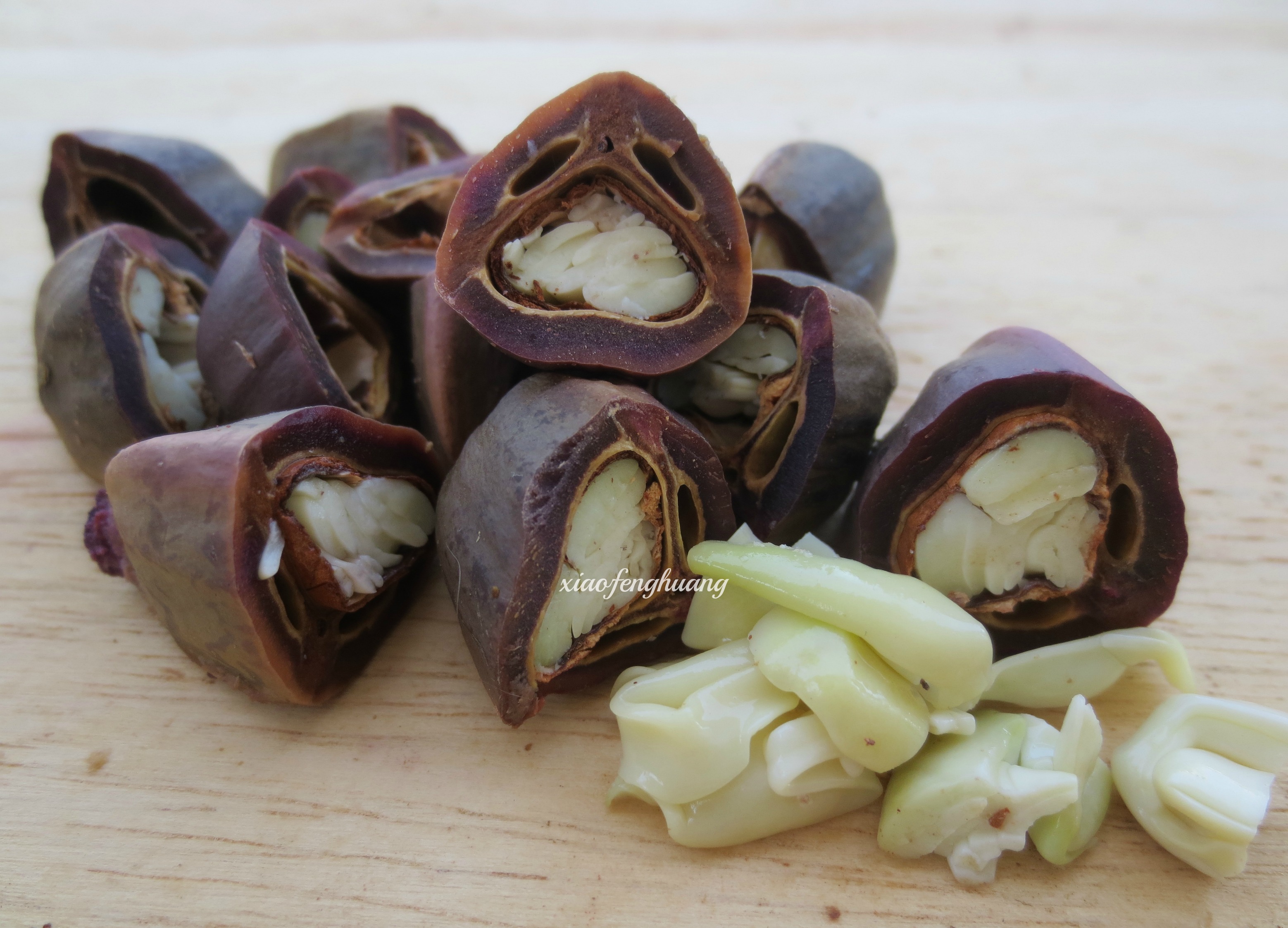 کاناریوم اودونتوفیلوم